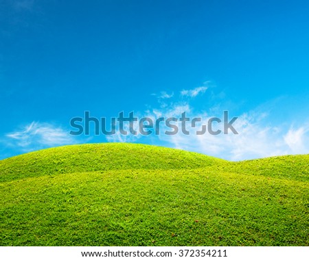Green spring landscape