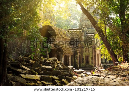 Amazing view of Ta Phrom temple ruins in Angkor, Siem Reap, Cambodia
