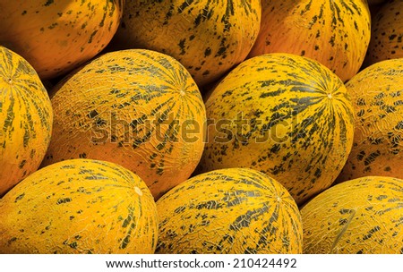 Ripe yellow melons at open air market in Turkey