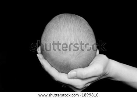 Five week old babys head held in mothers hand. Black and white