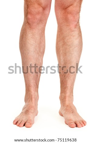 stock photo male hairy legs isolated on white background