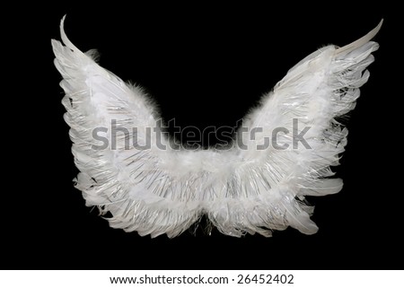 stock photo Angel's wings