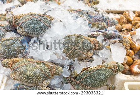 Fresh blue swimming crab on ice for preserve.