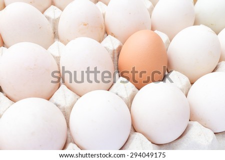 Chicken and duck eggs in carton paper.