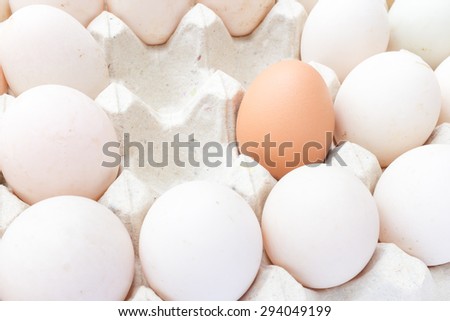 Eggs and blank space in the carton paper.