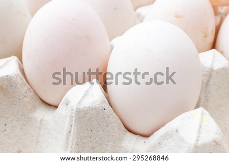 Duck eggs in carton paper.