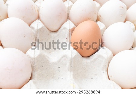 Eggs and blank space in the carton paper.