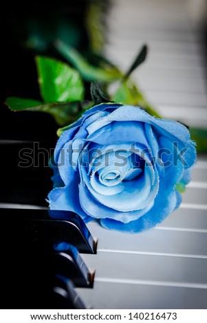 Blue rose on a piano