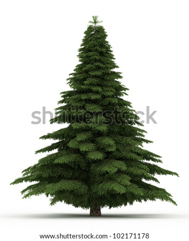 3d Spruce Tree Isolated Over White Stock Photo 102171178 : Shutterstock