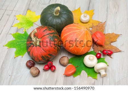autumn still life. three pumpkins, chestnuts, berries, rose hips, mushrooms and autumn maple leaves.