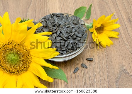 sunflowers and ripe seeds close-up on a wooden board. horizontal photo.
