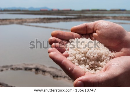 Handful of sea salt in the hands of the background of salt fields, Kampot, Cambodia