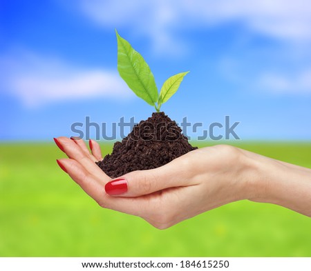woman\'s hands are holding green plant over bright nature background