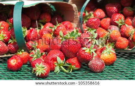 A front closeup view of freshly picked field strawberries sprawled out on a green cast iron patio table with quart baskets in the background.