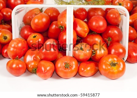 A studio front close-up view of a basket of ripe red field tomatoes on its side.