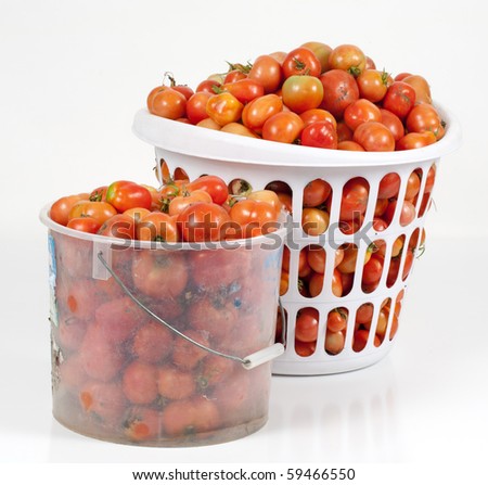 An angled view of a studio shot of two baskets of field tomatoes
