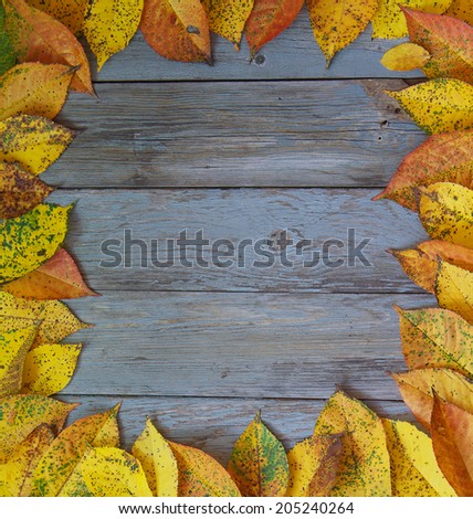 Autumn background with leaves. Frame of yellow leaves on a wooden table. Yellow leaves on a blue background.