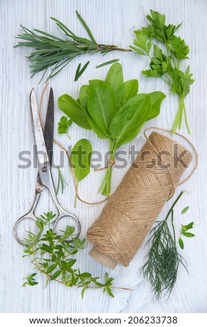 Harvesting herbs. Fresh herbs on white wooden table.