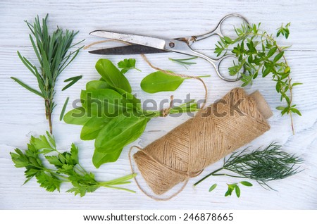 Harvesting herbs. Fresh herbs on white wooden table.