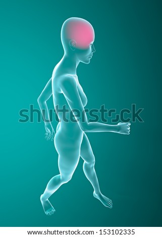 Woman walking seen on x-rays. Headache - Anatomy