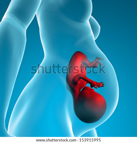 Pregnant woman\'s womb fetus pregnancy childbirth