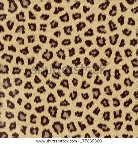 Spotted Animal Texture Leopard