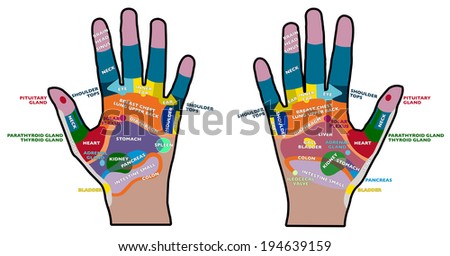 Reflexology handheld, hands, palms, health, massage