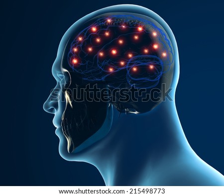 Brain neurons synapse