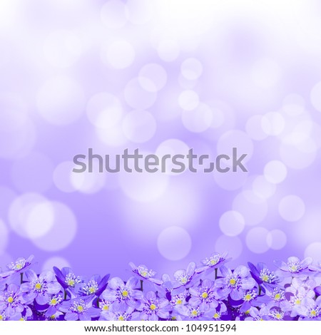 small violet flowers on a purple background