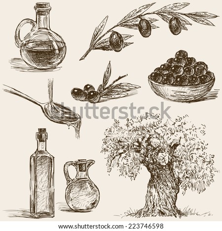 olive oil olive oil