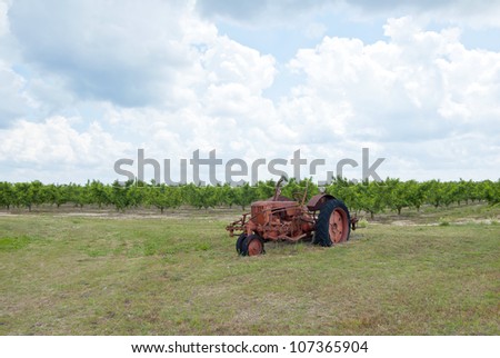 An old tractor on the edge of a peach orchard.