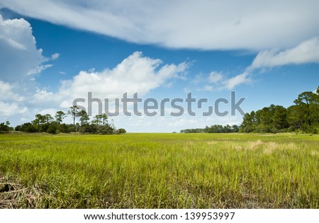 The vista and expanse of sea grass and pine covered islands of the South Carolina Low Country and coastal area.