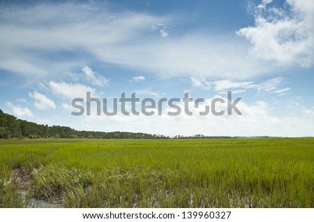 The vista and expanse of sea grass and pine covered islands of the South Carolina Low Country and coastal area.