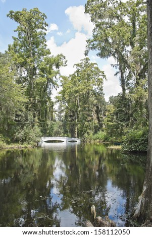 A bridge crosses a pond in the southern Low Country of South Carolina.