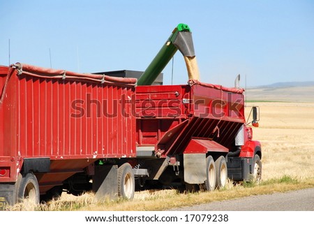 An auger loads grain into a truck for transport to storage.