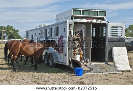 Horses and a horse-trailer at the rodeo.