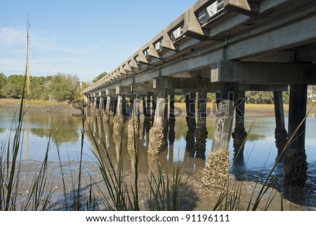 A South Carolina Low Country bridge at low tide.