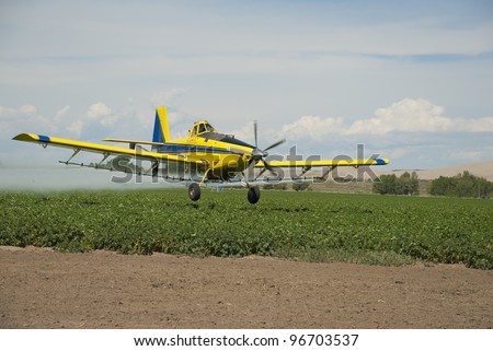 A crop duster sprays a field of Idaho potatoes.