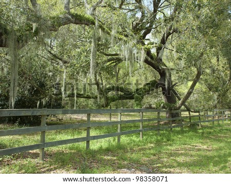 A scenic view from the South Carolina Low Country.