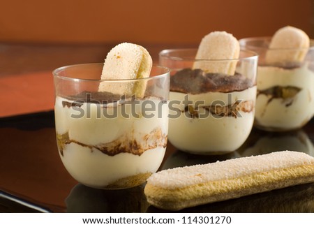 Traditional Italian dessert -  Tiramisu\' dessert.