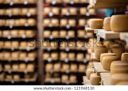 Cow Milk Cheese, Stored In A Wooden Shelves And Left To Mature