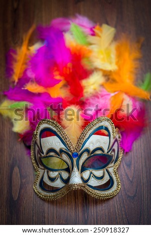 Carnival mask on color feathers