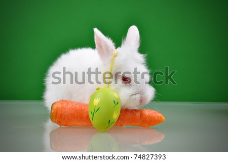White small rabbit with carrot and easter egg