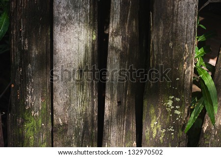 Old fence of rotten boards in the summer