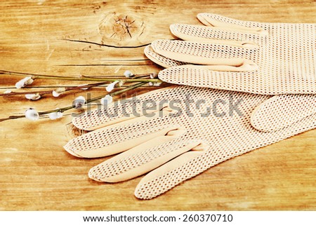Willow branches and vintage gloves on a wooden background