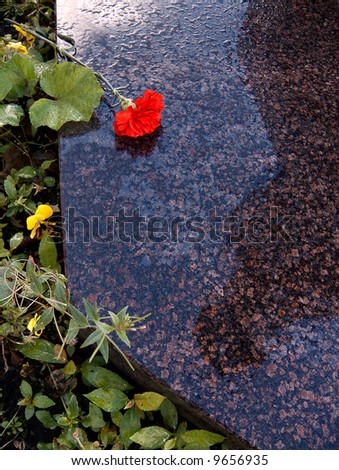 Red carnation at statue\'s base in the rain