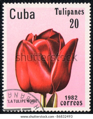 CUBA - CIRCA 1982: A stamp printed in CUBA  shows  a La tulipe noire, series 