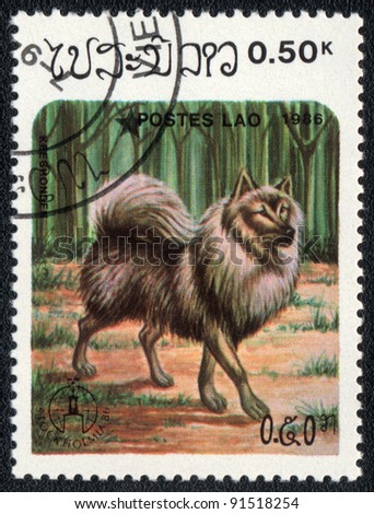 LAOS - CIRCA 1986: A stamp printed in LAOS shows   Keeshond dog, from series Breeds of dogs , circa 1986