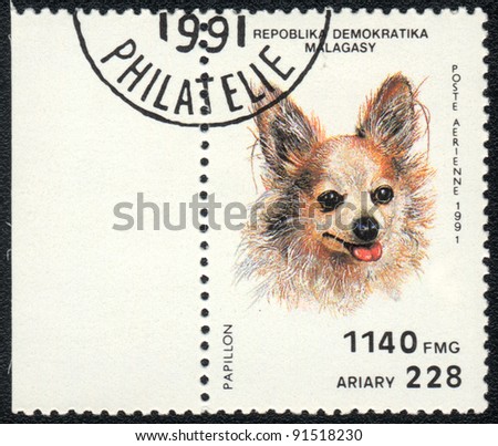 REPUBLICA MALAGASY - CIRCA 1991: A stamp printed in REPUBLICA MALAGASY shows Papillon dog , from series Breeds of dogs , circa 1991