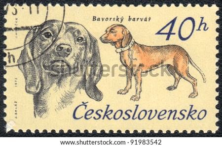CZECHOSLOVAKIA - CIRCA 1973: A stamp printed in CZECHOSLOVAKIA shows  a Bavarian Hunting Dog,  from series Breeds of hunting dogs, circa 1973
